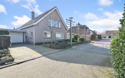Leverkruid 4