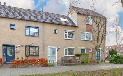Vogelkers 5