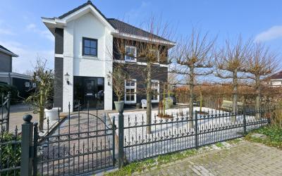 Ameland 25
