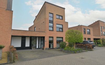 Terschelling 31
