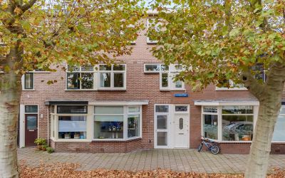 Platanenstraat 41