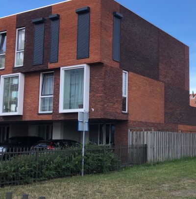 Pruimenboom. 1