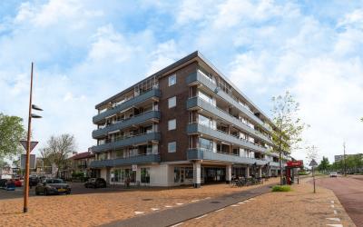 Scheldestra. 11