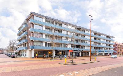 Scheldestra. 51