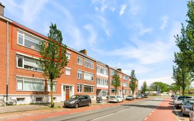Linnaeusstr. 139
