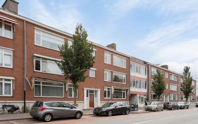 Linnaeusstr. 141