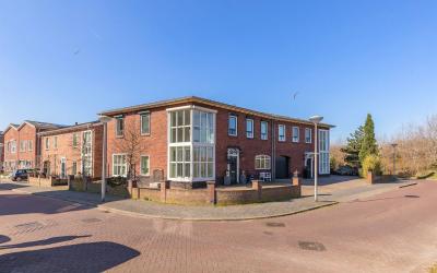 Zandhaver 74
