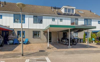 Pijlkruid 14