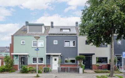 Kamgras 18