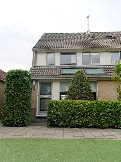 Pijpbloem 1