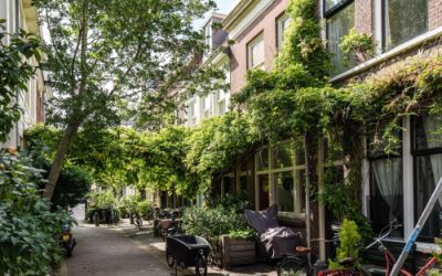 Nieuwe Krui. 15-RD