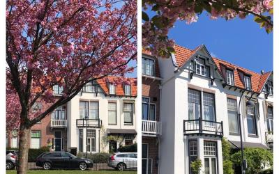 Oranjeplein 17