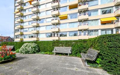 Zandvoorter. 58