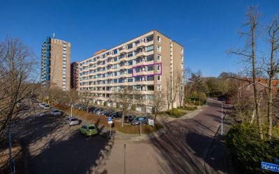 Zandvoorter. 164