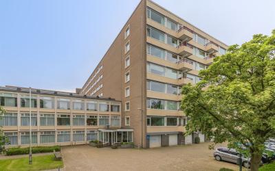 Zandvoorter. 292