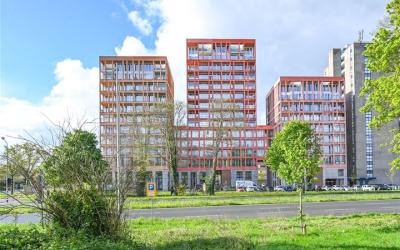 Claus Slute. 239