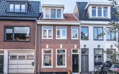 Oranjebooms. 146