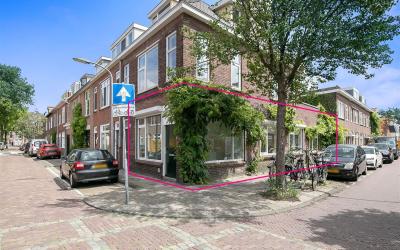 Oranjebooms. 35-ZW