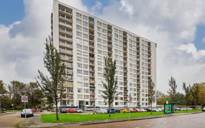 Van Leeuwen. 5-0153