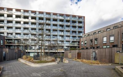 Pieter van. 61
