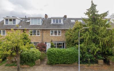 Bloemveldla. 56