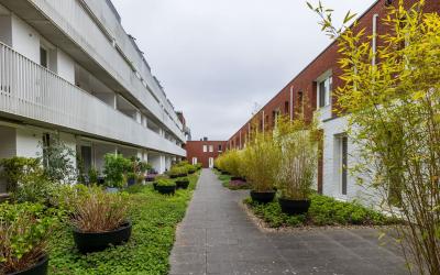 Jacobstraat 35