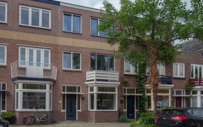 Stuyvesants. 21