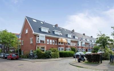 Stuyvesantp. 16-RD