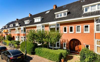 Stuyvesantp. 21-RD