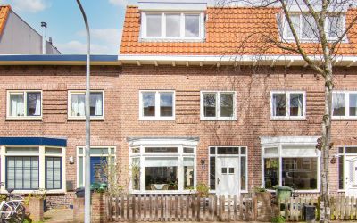 Schoterveen. 20
