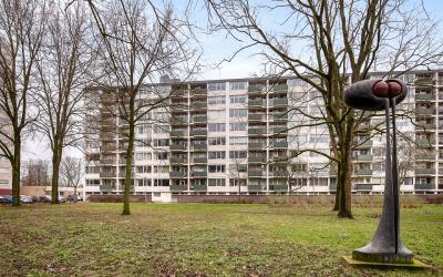 Ierlandstra. 62