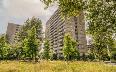 Waddenstraat 397