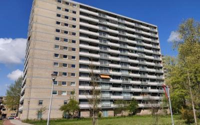 Waddenstraat 445