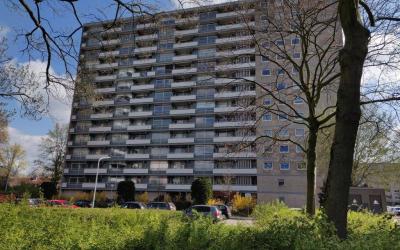 Waddenstraat 595