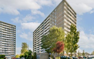 Waddenstraat 599