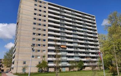 Waddenstraat 731