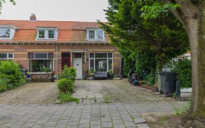 Koninginnew. 16