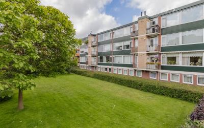 Stuyvesants. 21