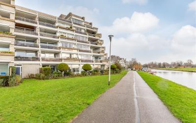 Offenbachla. 53