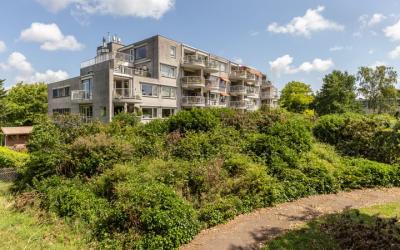Berkenhof 7