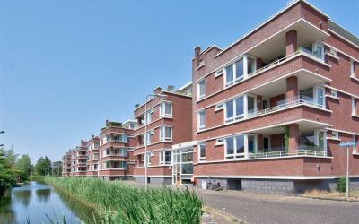 Roerdomplaan 19