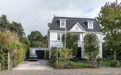 Willem Kloo. 20