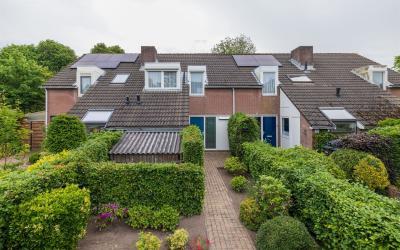 Vogelenzang. 93