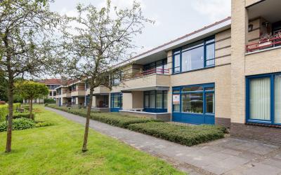 Groot hoefb. 42