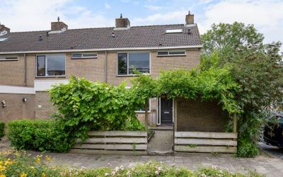 Graan voor Visch 15717