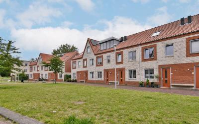 Ewijkplants. 11