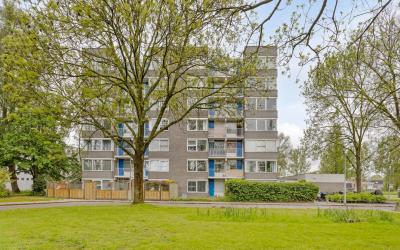 Graan voor Visch 17247