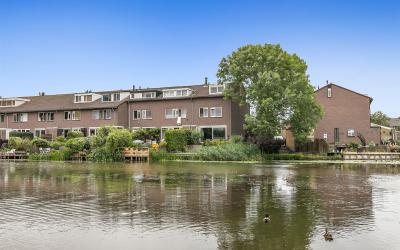Birkholm 142
