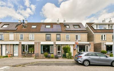 Zandbos 26