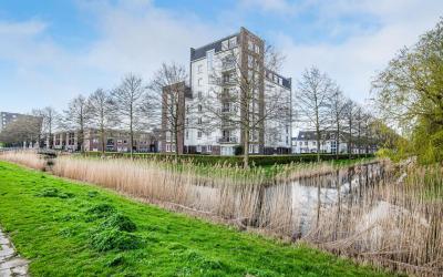 Wijtvliet 41